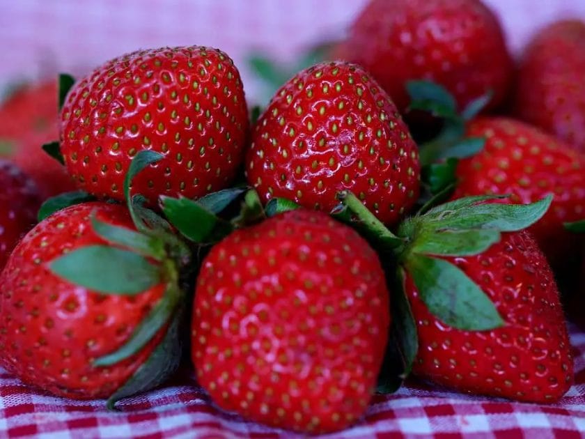 Ripe Strawberries Food Healthy Fresh Fruits