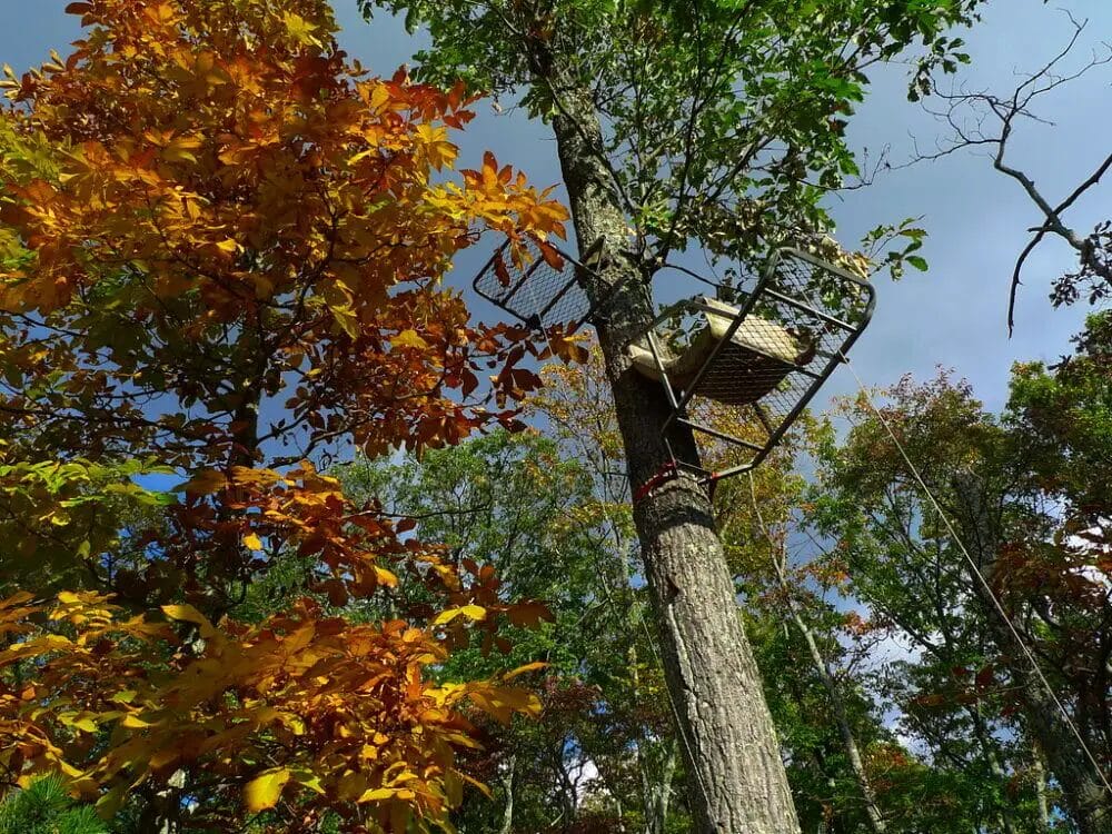 Tree Stand for deer hunting