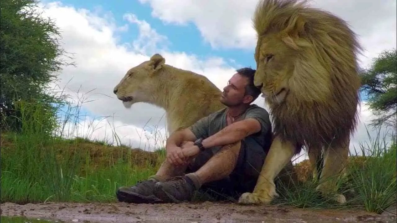Are Lions Dangerous To Humans?