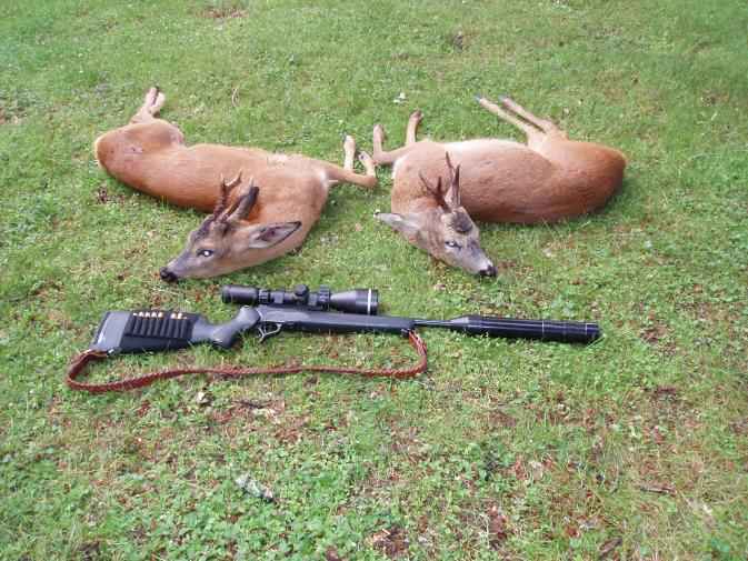 Can You Hunt Deer With .22-250?