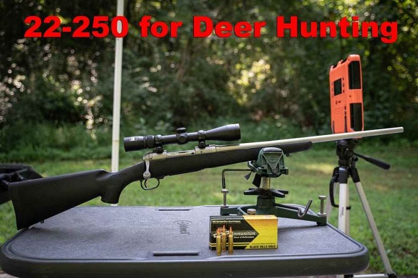 Can You Hunt Deer With .22-250?