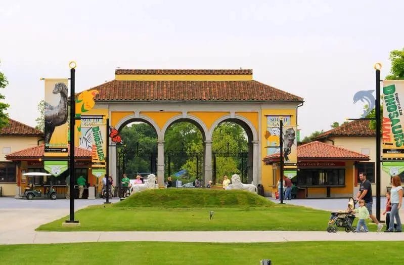 Does Brookfield Zoo Have Elephants? • Support Wild