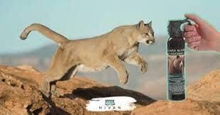 Does Pepper Spray Work on Mountain Lions?