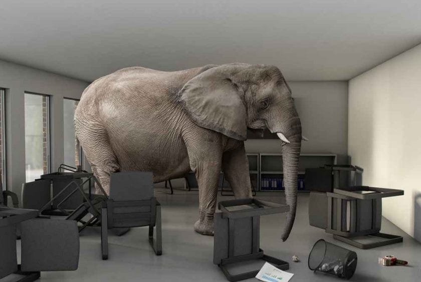 Elephant in the Room Meaning