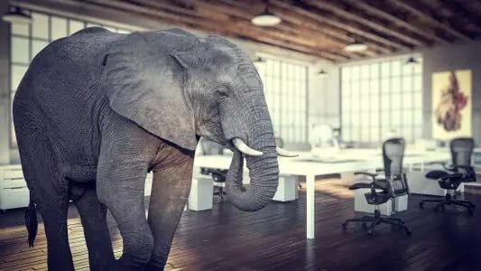 Elephant in the Room Meaning
