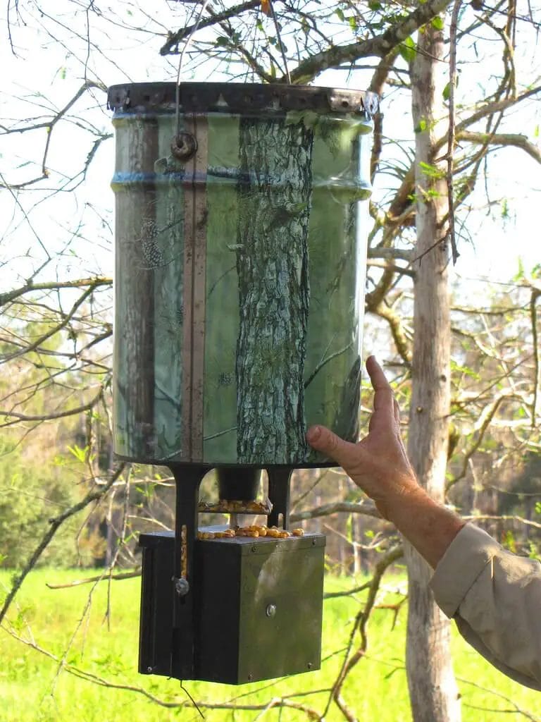 How High Should Deer Feeder Be Off the Ground