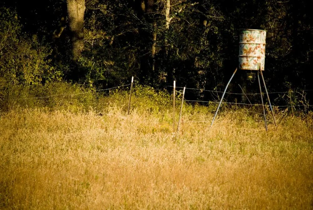 How High Should a Deer Feeder Be Off the Ground? • Support Wild