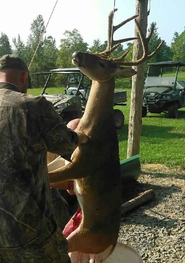 How Long Can a Deer Hang in 70 Degrees?