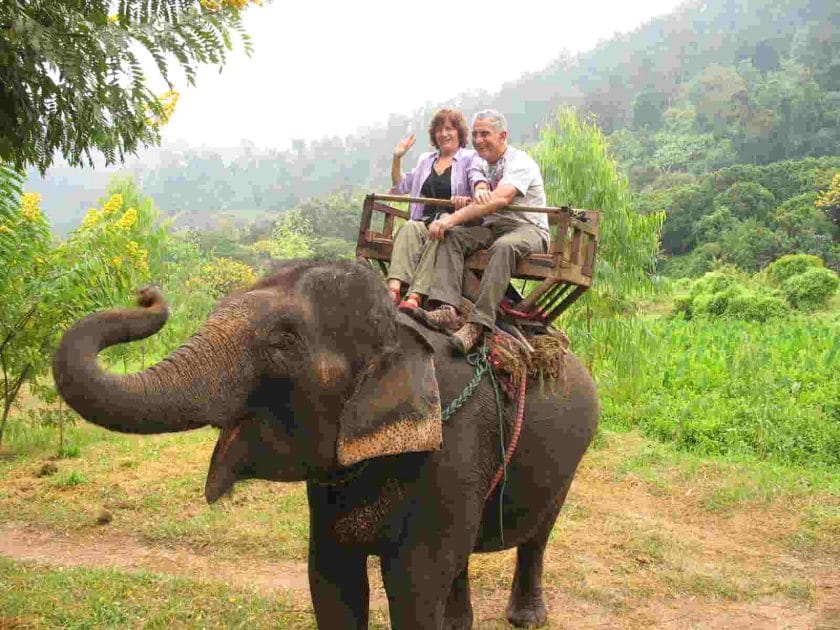 How Much Weight Can an Elephant Carry