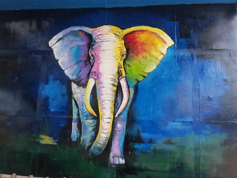 How to Paint an Elephant