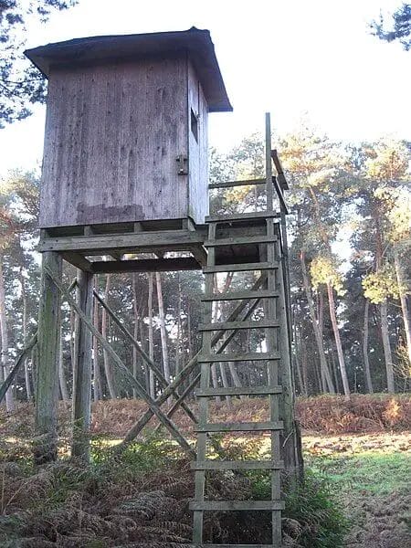 How to insulate a deer stand