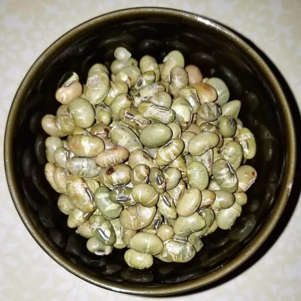 How to roast soybeans for deer