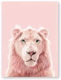 Is Pink Panther a Lion?