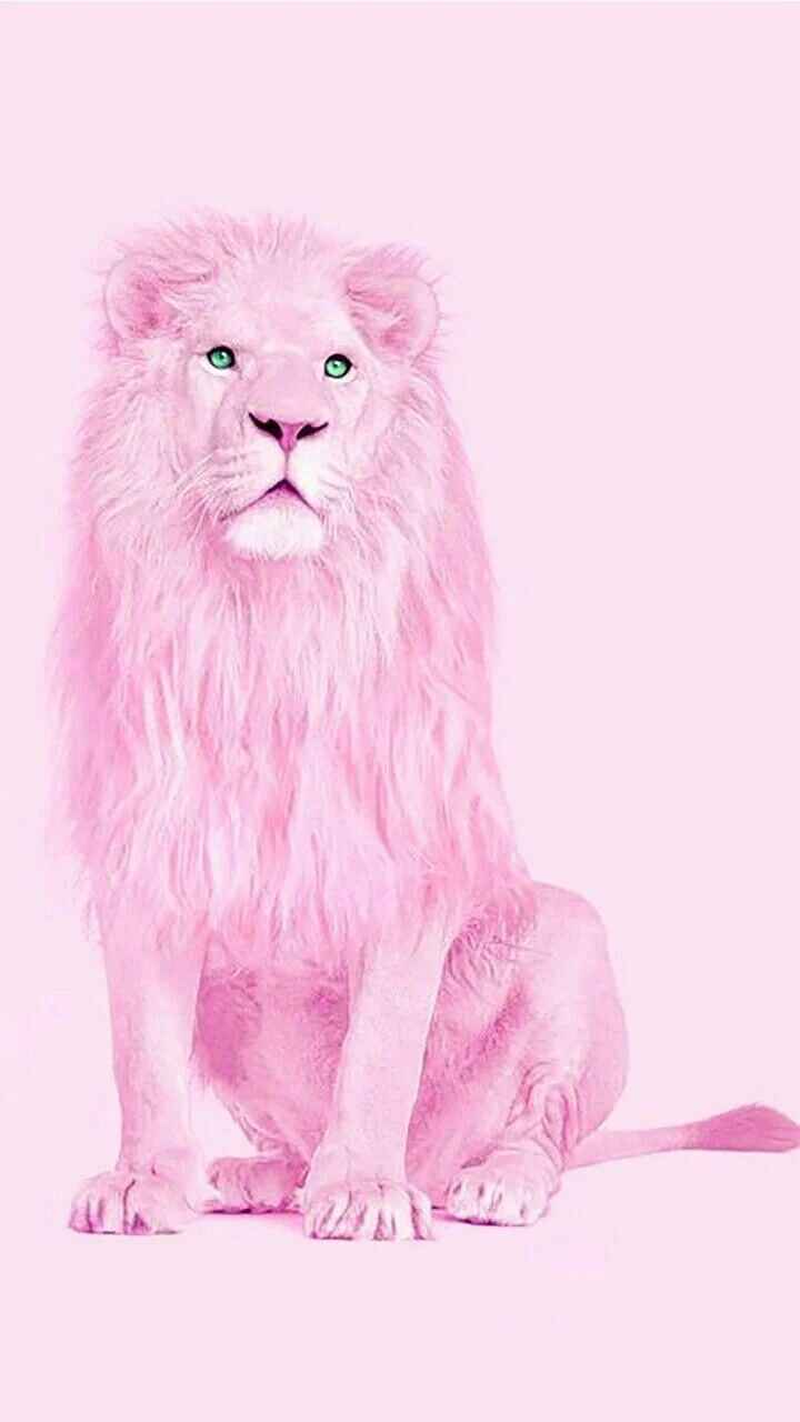 Is Pink Panther a Lion?