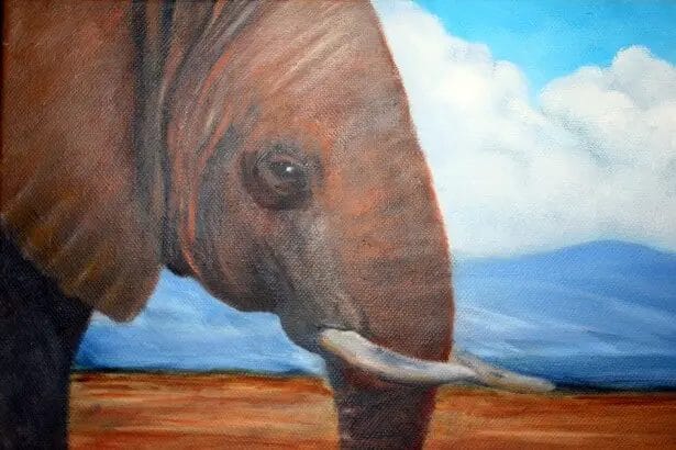 Painting an Elephant