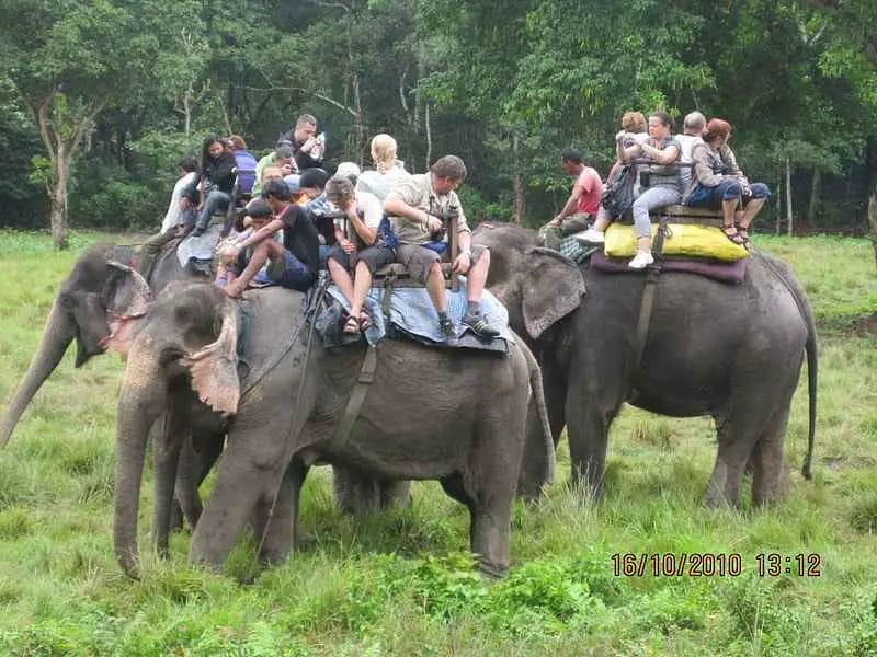Where Can I Ride on Elephant