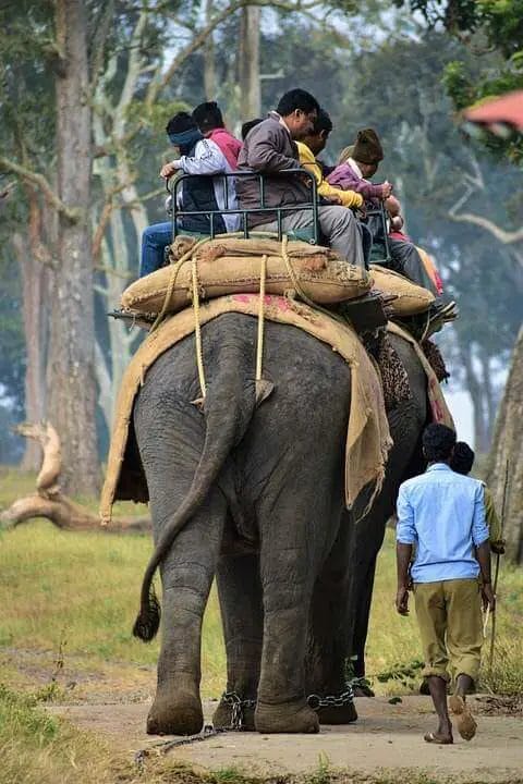 Where Can I Ride on an Elephant