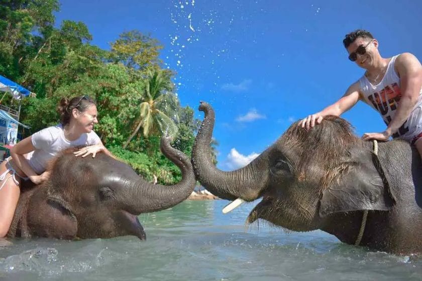 Where Can You Swim With Elephant_