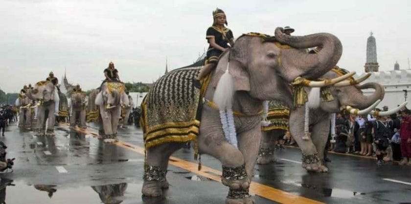Why Elephant is the Symbol of Thailand?