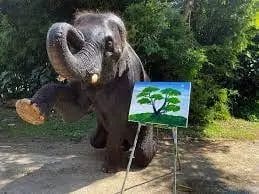 Why is Elephant Painting Bad