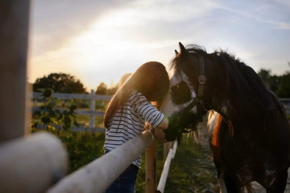 How Do Horses Help Humans Physically? • Support Wild