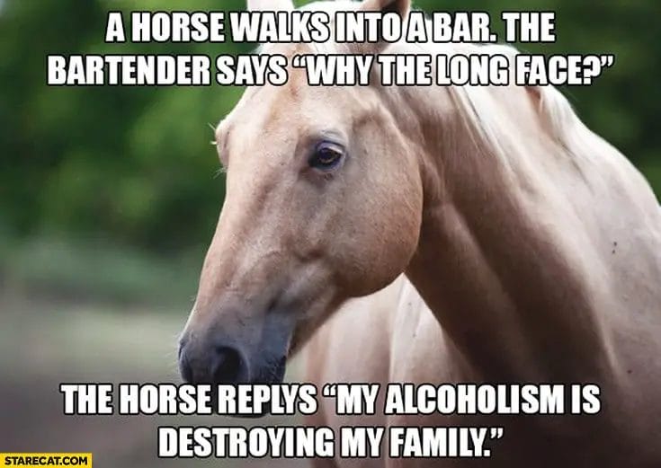a horse walks into a bar joke
