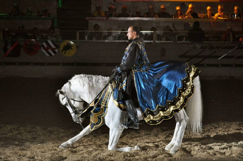 are medieval times horses treated well
