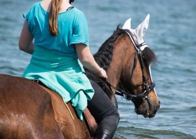 can horses swim with a rider
