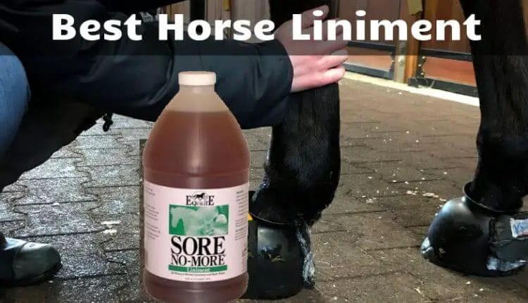 can humans use horse liniment
