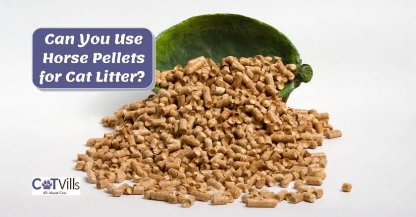 can you use horse pellets for cat litter
