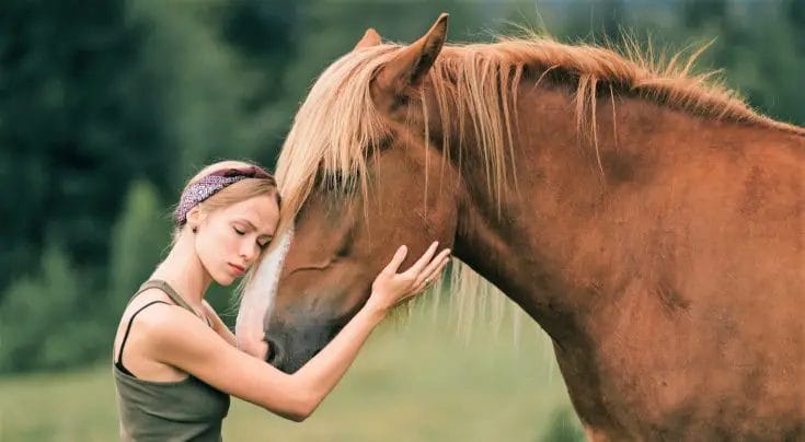 do horses miss their owners
