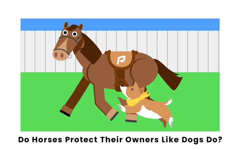 do horses protect their owners
