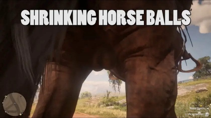 does riding a horse hurt your balls
