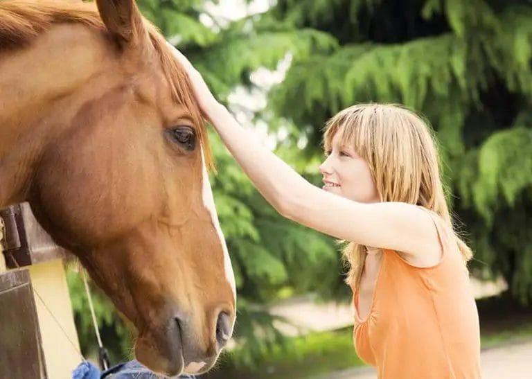 how do horses help humans physically
