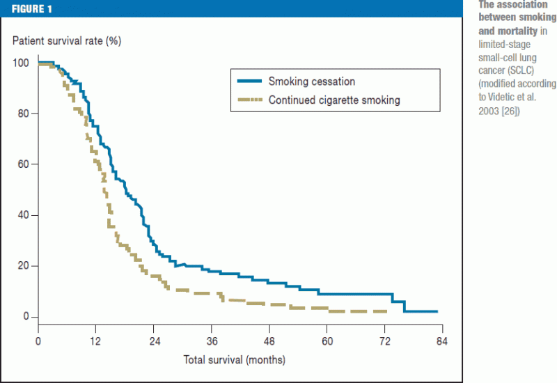 How Long Can A Horse Live With Copd? • Support Wild