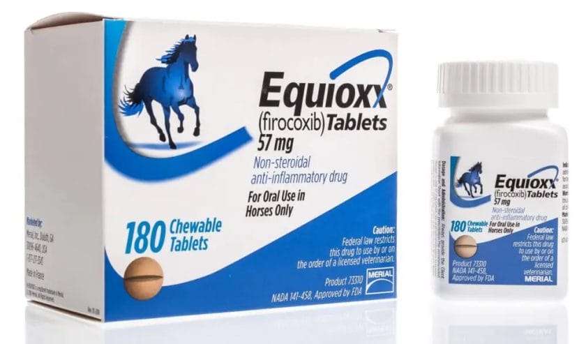 how long can a horse stay on equioxx
