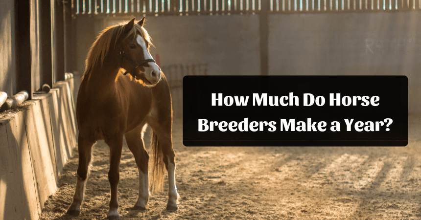 how-much-do-horse-breeders-make-support-wild