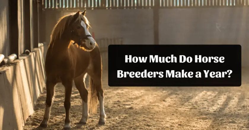 how much do horse breeders make
