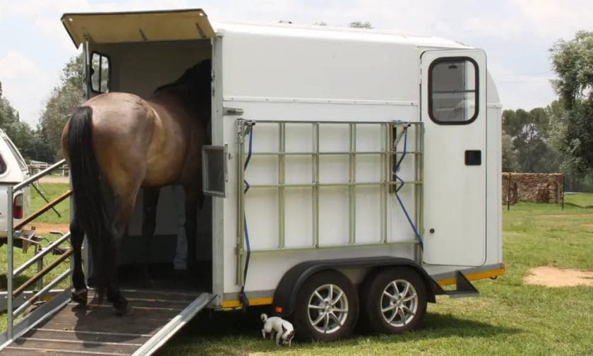 how much does a single horse trailer weigh
