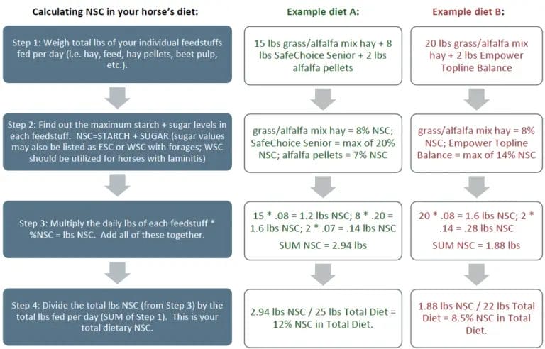 how to calculate nsc in horse feed
