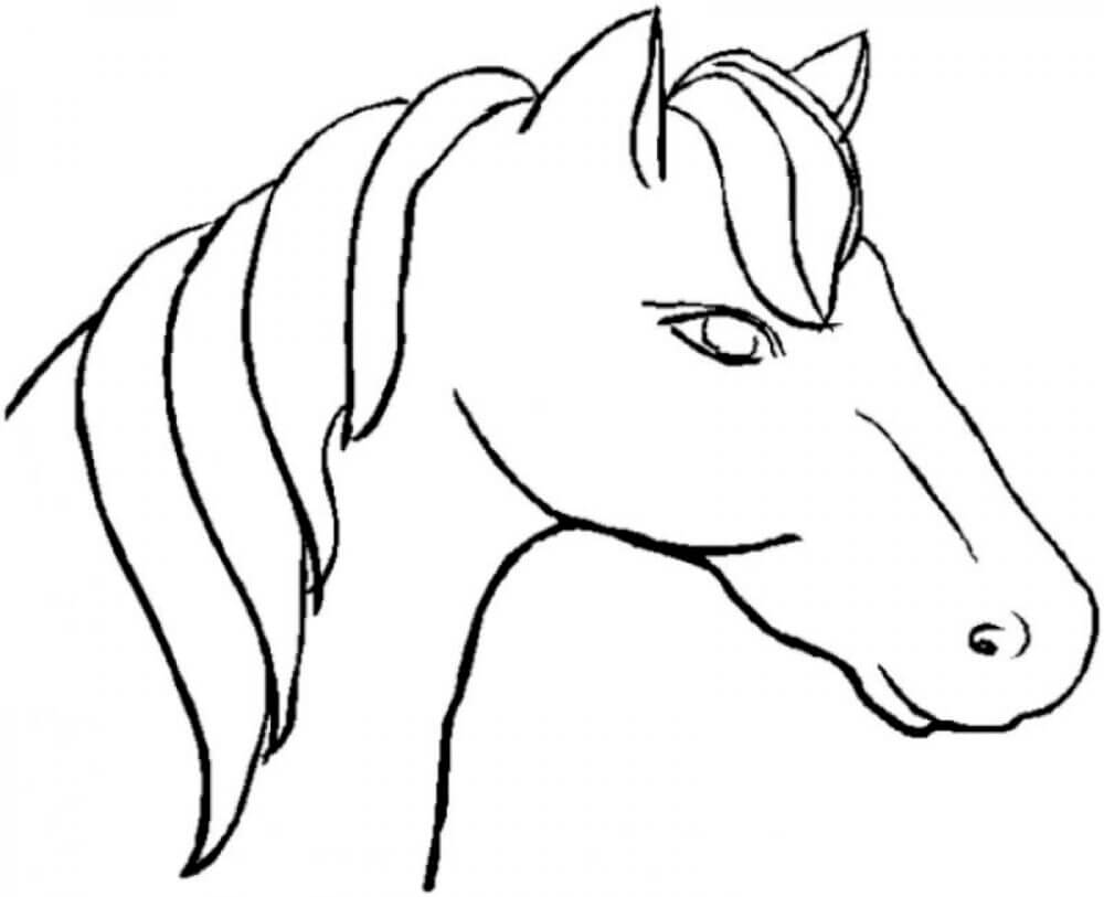 how to draw an easy horse head
