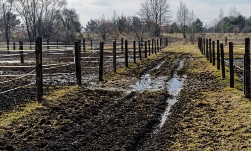 how to fix muddy horse paddock areas
