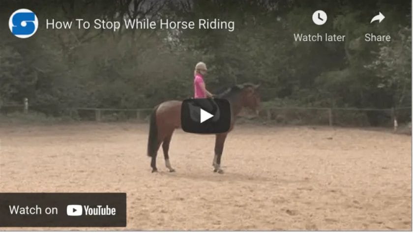 how to stop a horse
