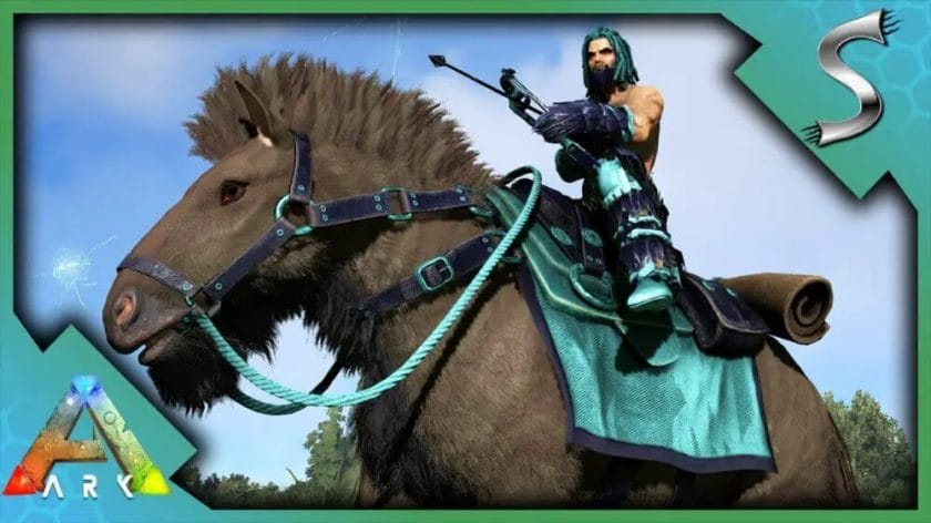 how to tame a horse in ark
