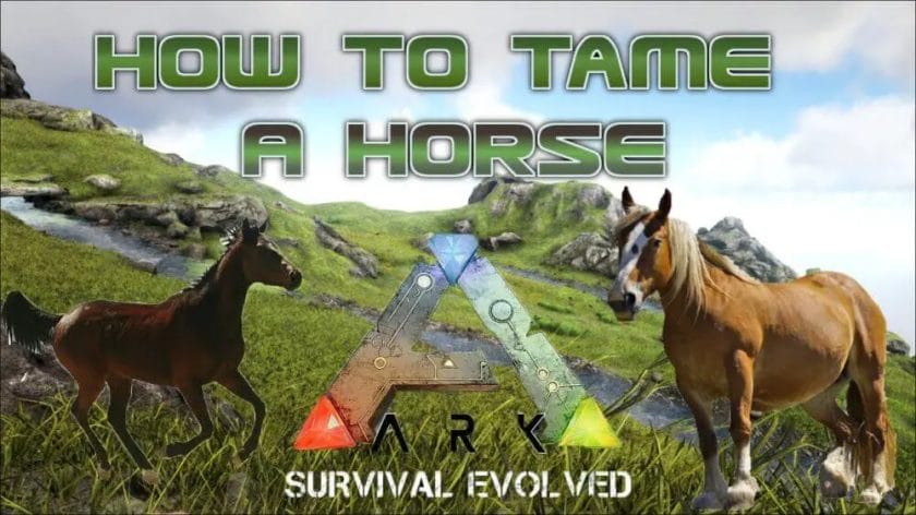 how to tame horse ark
