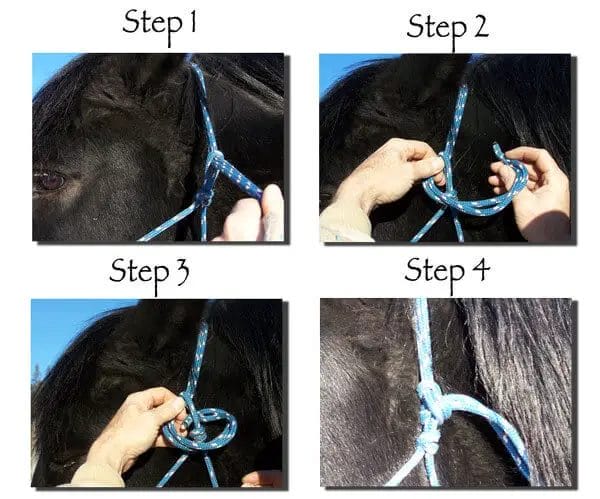 how to tie a horse halter
