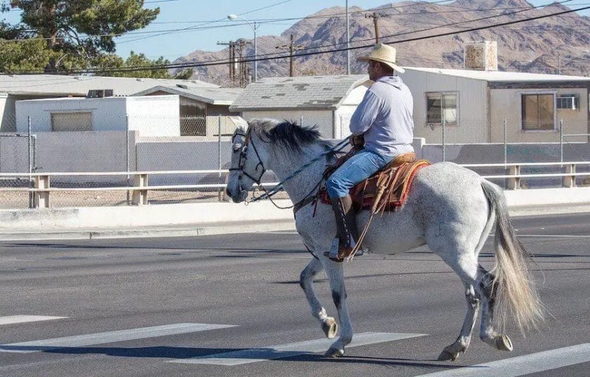 is it legal to ride a horse on the road
