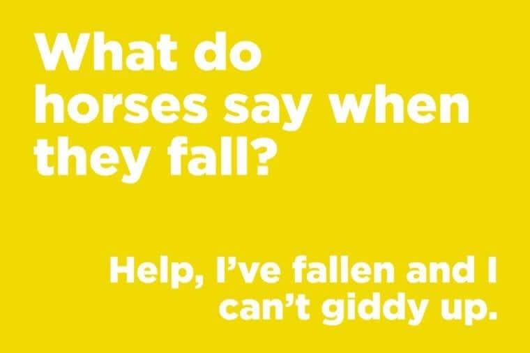 what do horses say when they fall down
