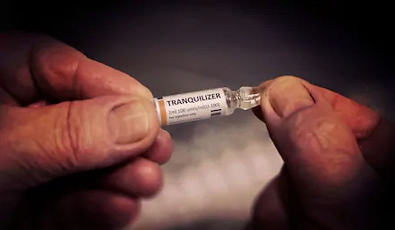 what does horse tranquilizer do to a human