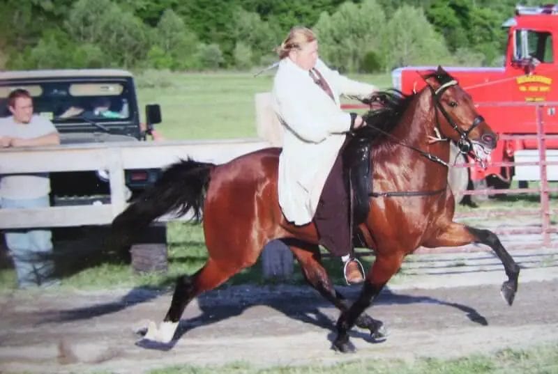 What Is A Racking Horse? • Support Wild